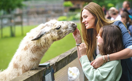 Woman with alpaca